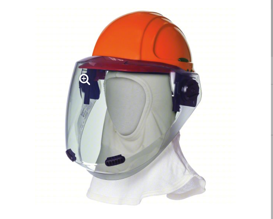 Face Shield